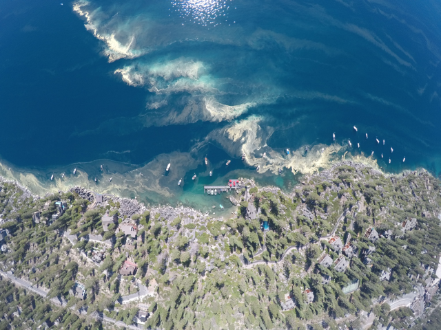 Pollen coating the nearshore area of Lake Tahoe
