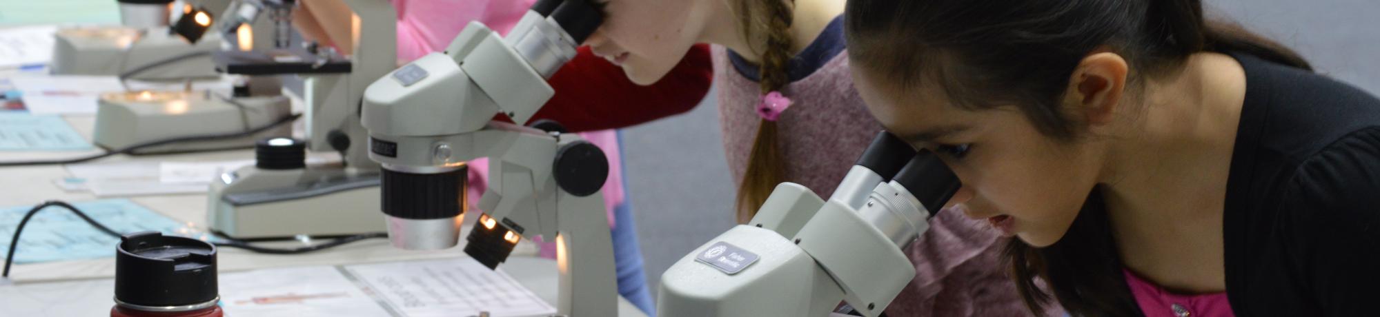 Microscope use at the Science Expo 2018