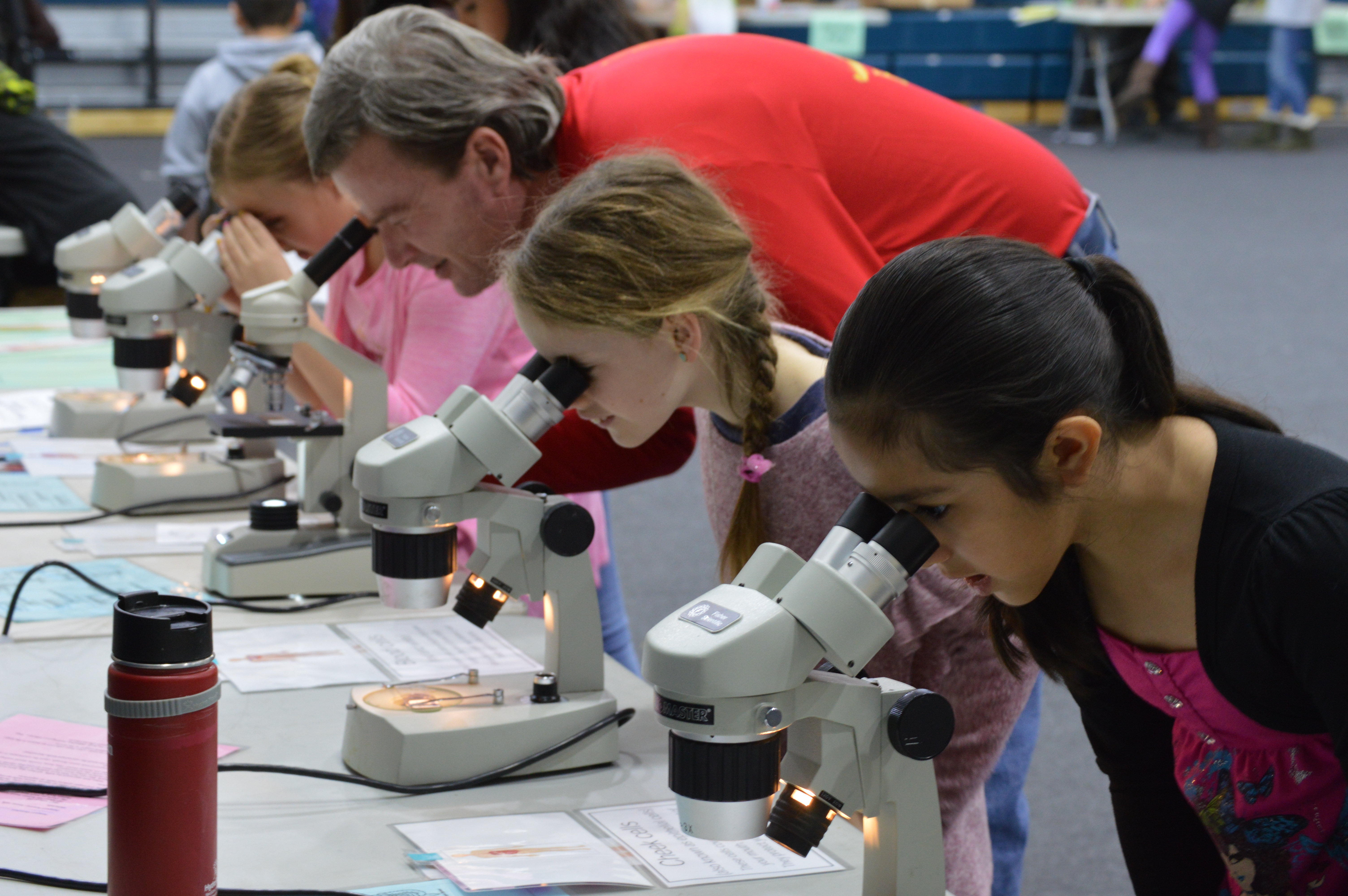 Microscope use at the Science Expo 2018