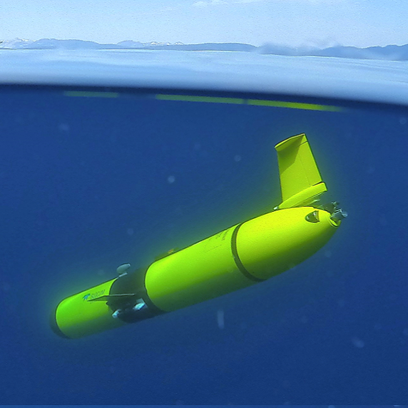 Storm Petrel glider