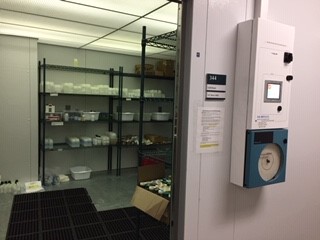 Cold Room