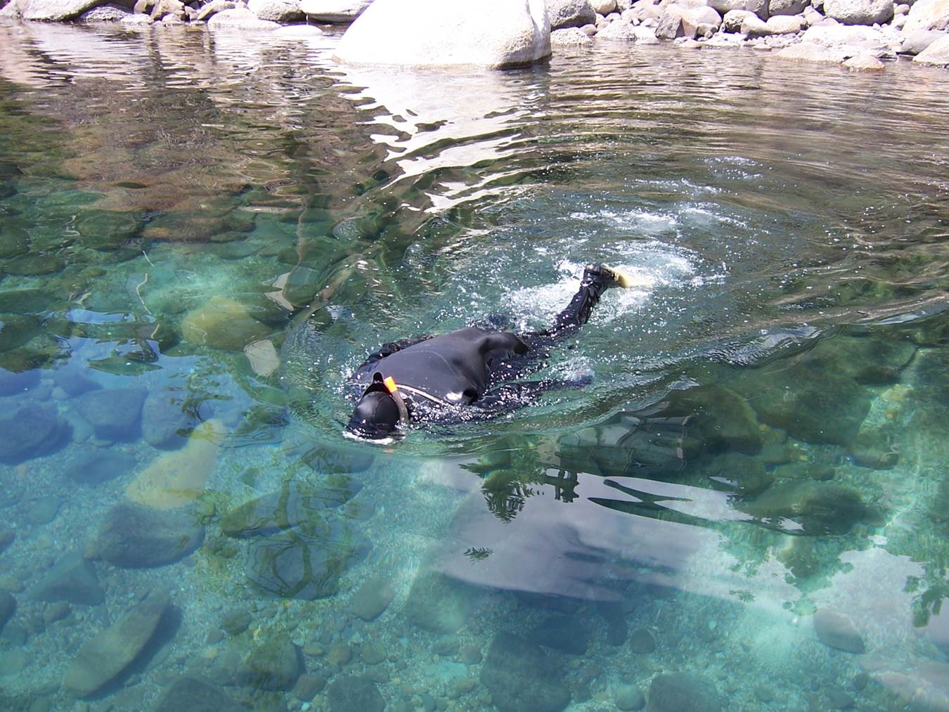 Research Diver_Credit UCDavis TERC