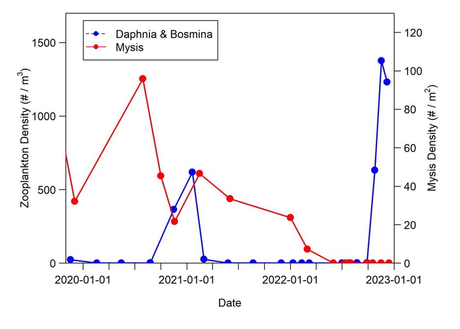 Graph of zooplankton populations