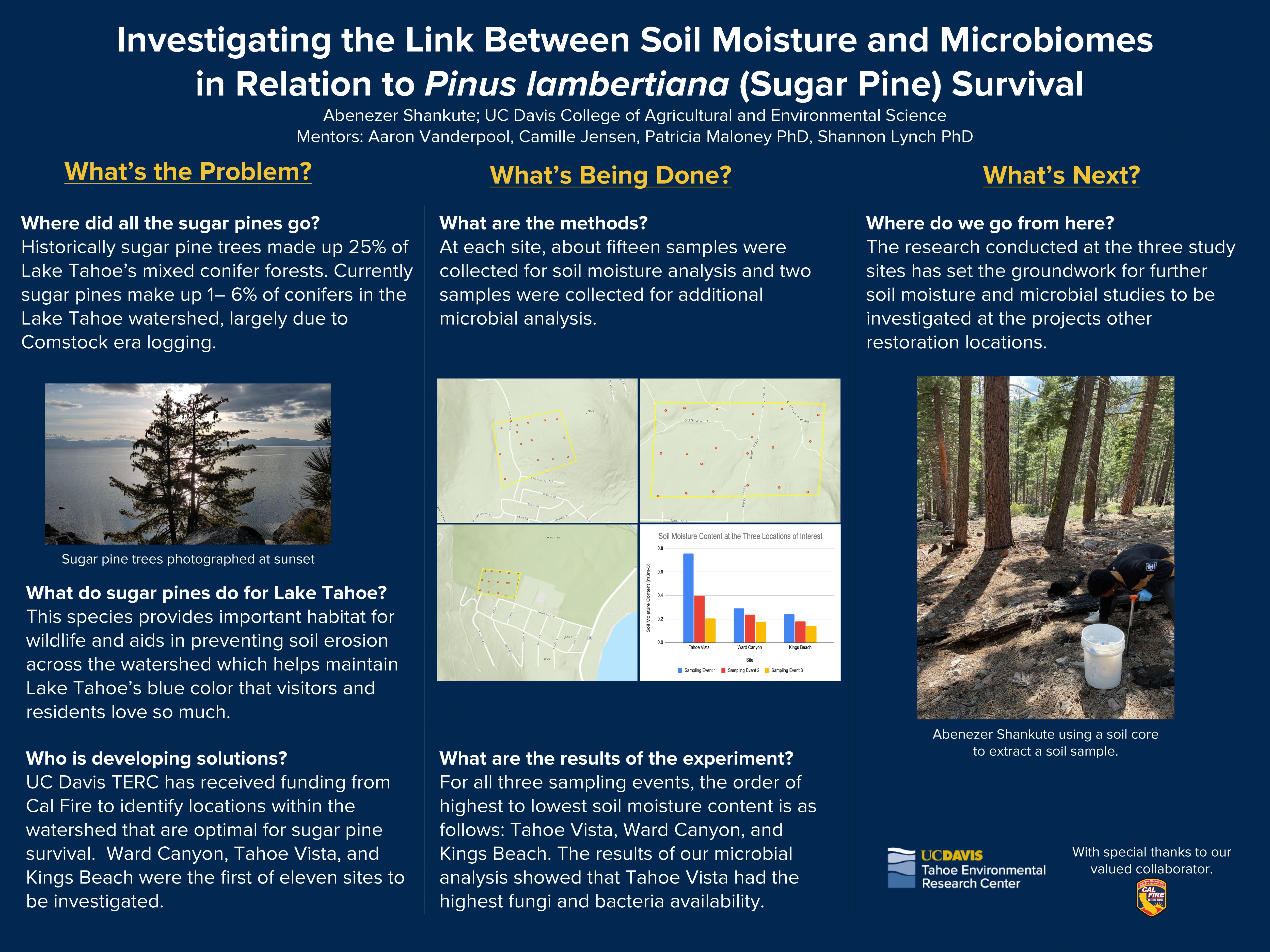 Investigating the link between soil moisture and microbiomes in relationship to sugar pine survival