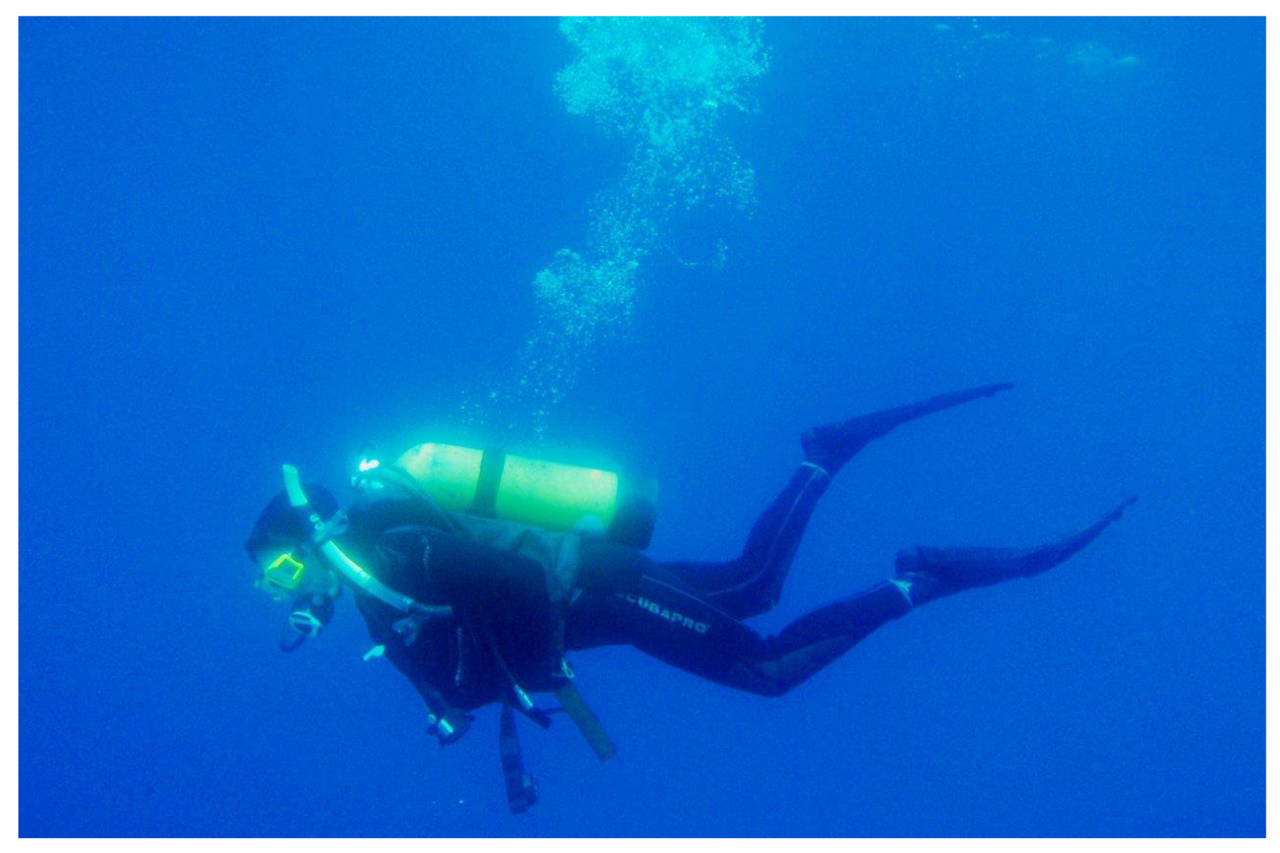 Research diver