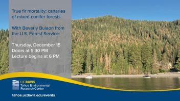Forest Mortality Lecture