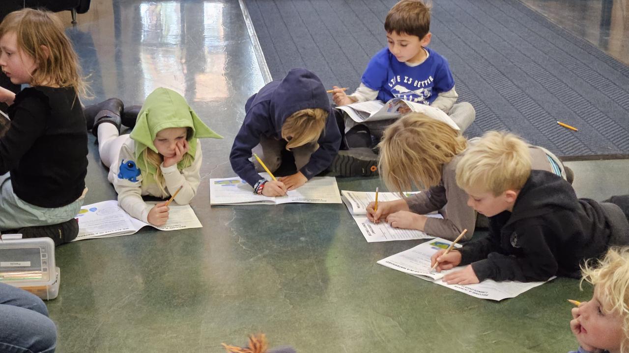 Junior limnologist make aquarium observations