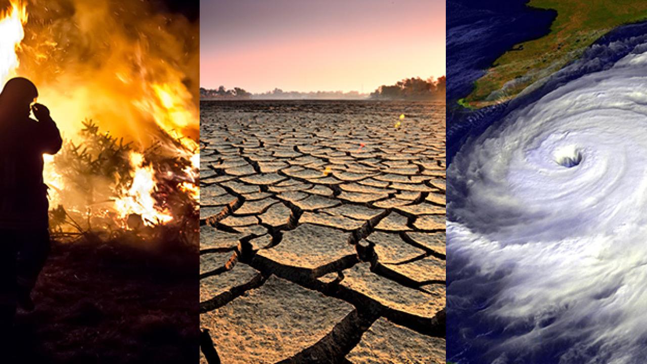 Effects of climate change