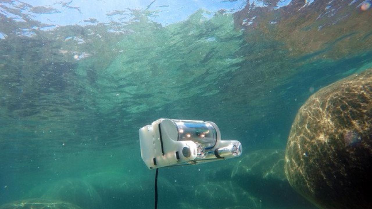 Underwater research in action