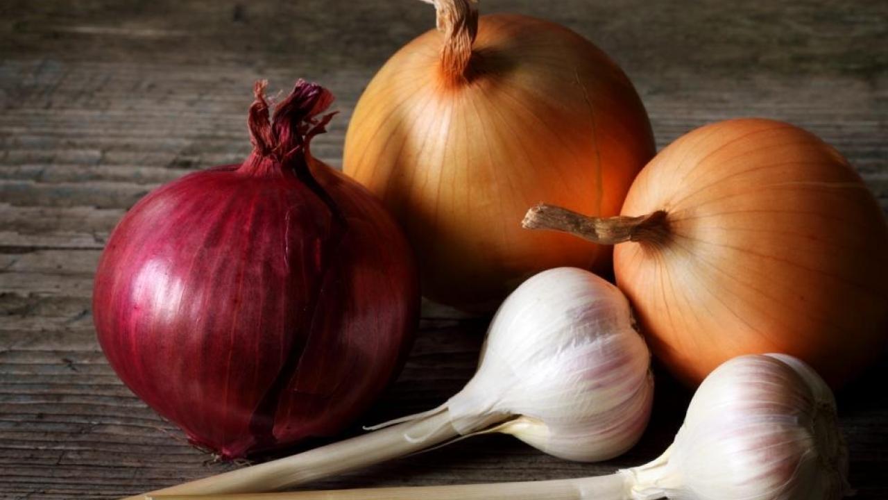 Veggie Phenology Workshop