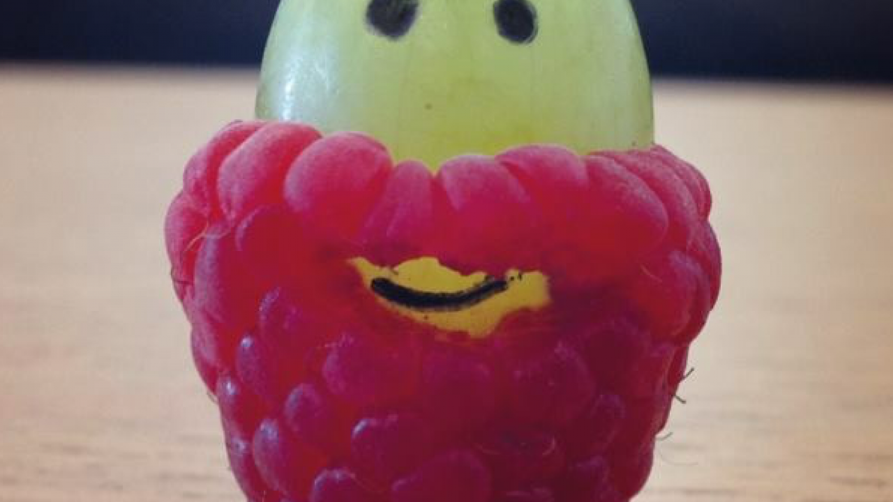 Raspberries make grape beards!