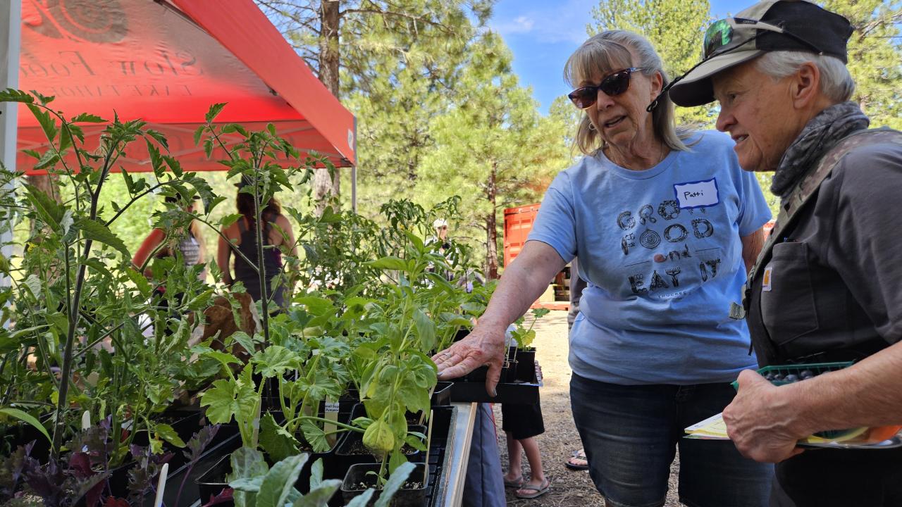 plant sales at the GYO festival