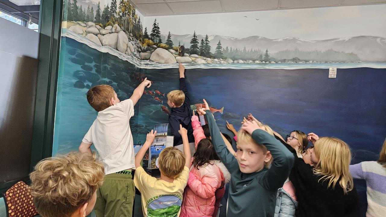 Student in the UC Davis Underwater Lounge participating in a scavenger hunt