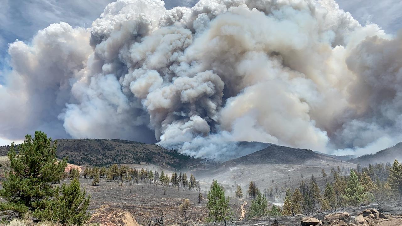 plumes of smoke from Loyalton wildfire, 2021