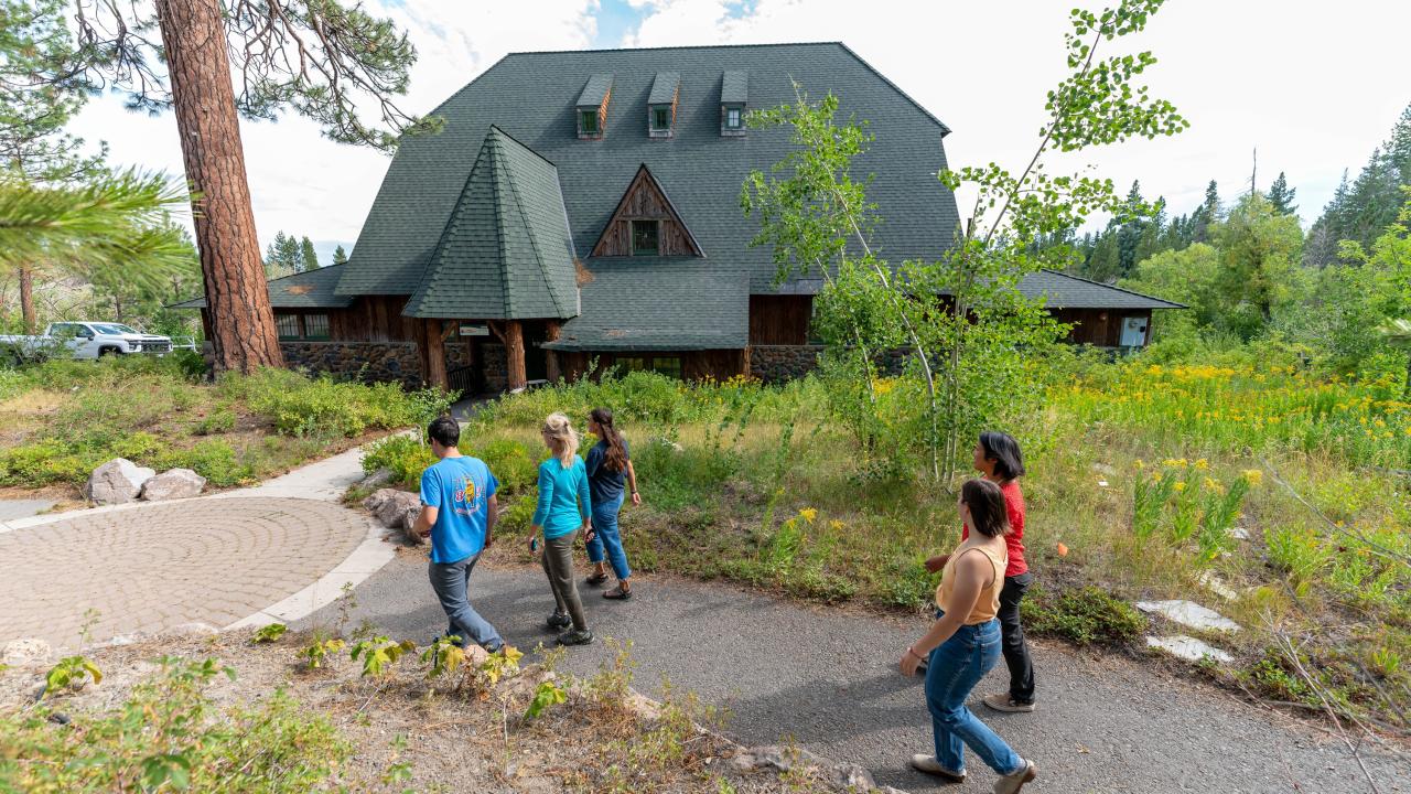 Four people walking on a paved path toward a large green-roof lodge among pine trees