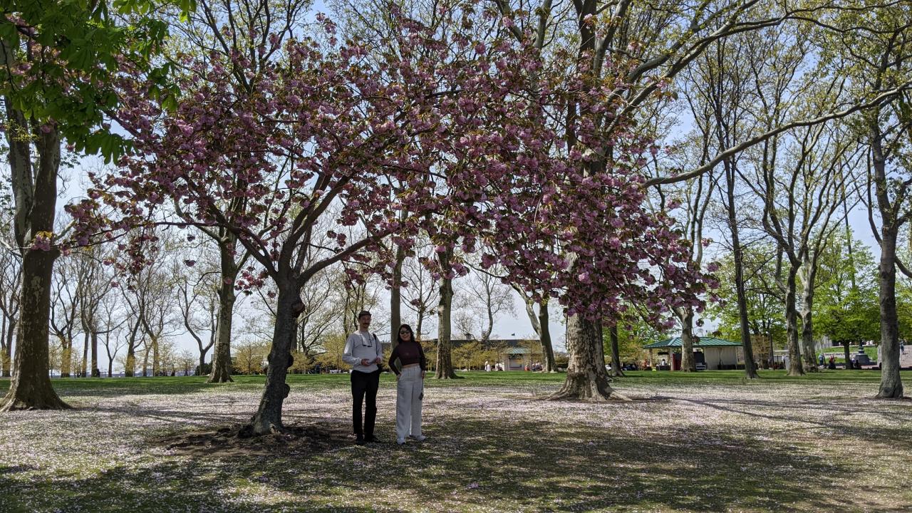 Couple under a tree