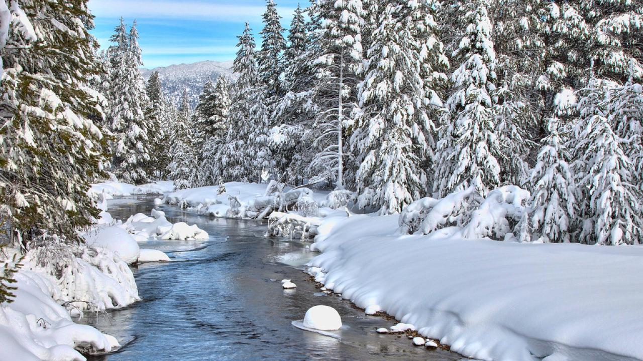 Truckee River surrounded by snowy trees