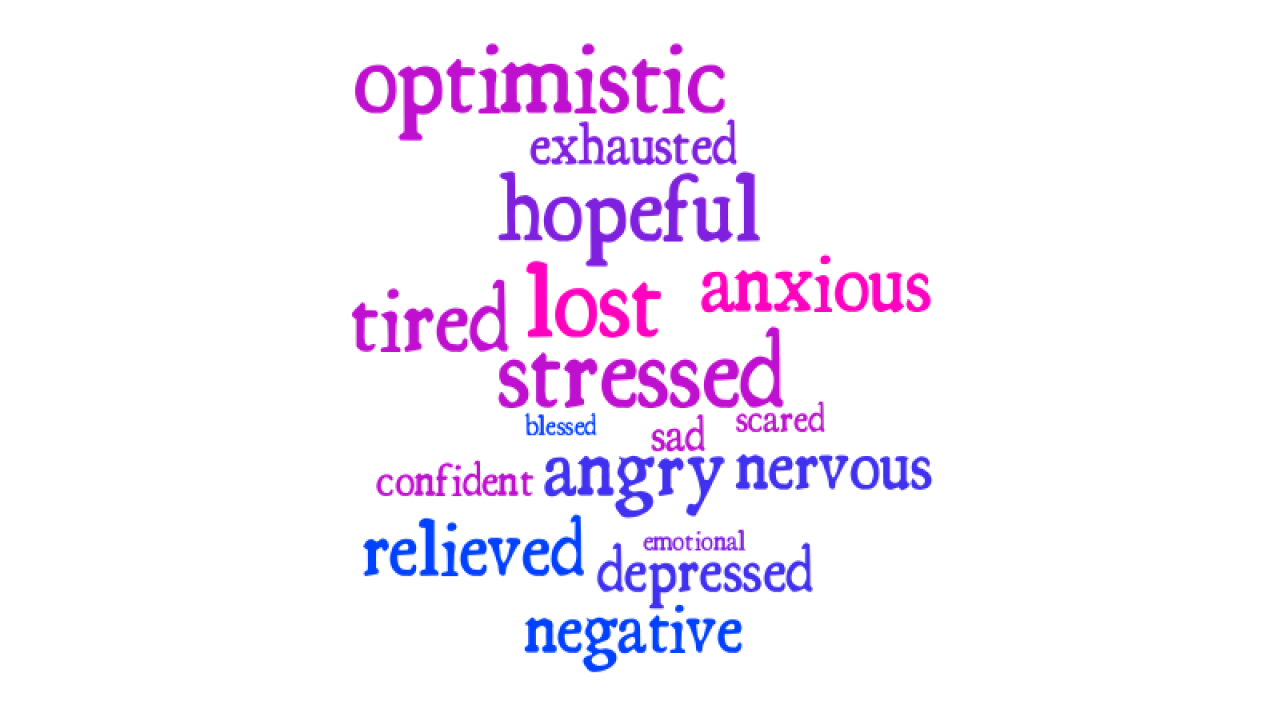 Word cloud for climate anxiety discussion