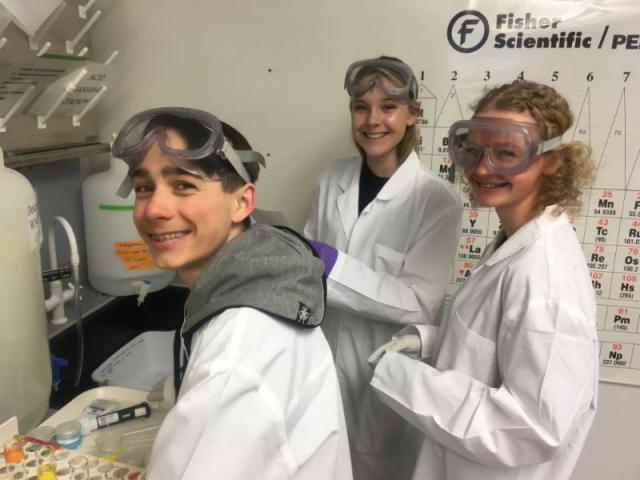 YSI students working in the UC Davis TERC lab
