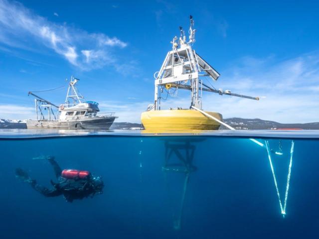 TERC Buoy
