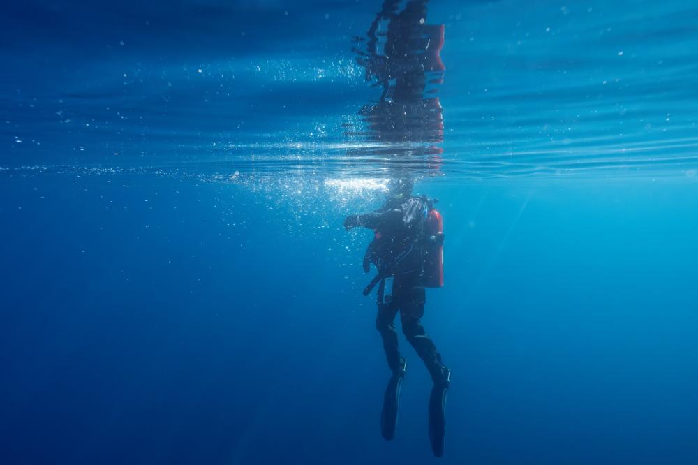 TERC Research Diver seen in the clear waters of Lake Tahoe. Photo Credit: Brandon Berry