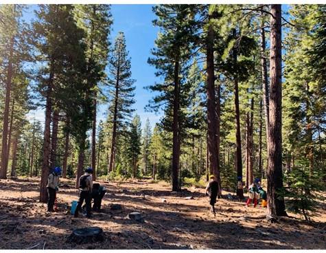 California Conservation Corps doing restoration work