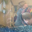 Trout in the Classroom 