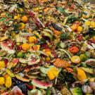 Food waste