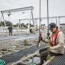Hog Oyster Farm in Humboldt
