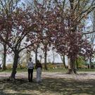 Couple under a tree 