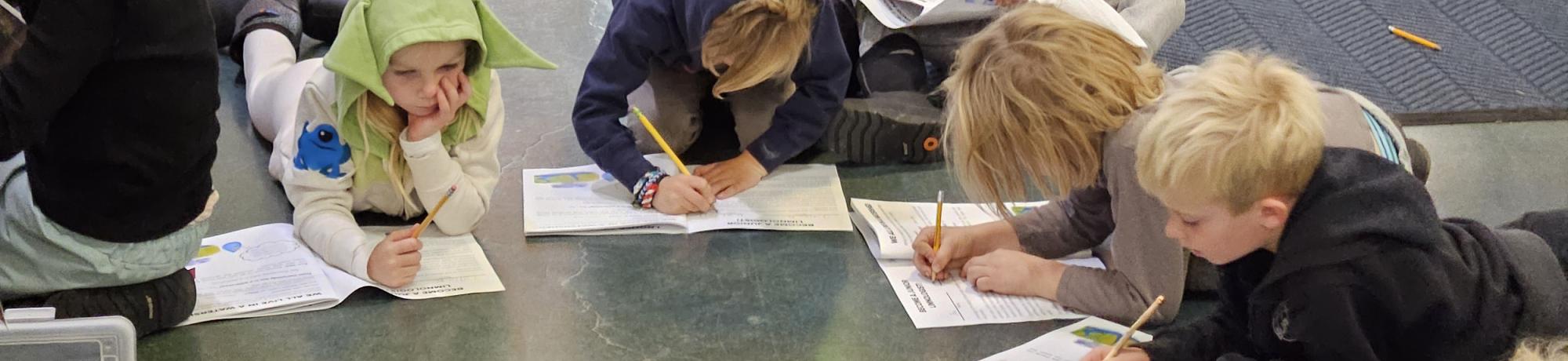 Junior limnologist make aquarium observations