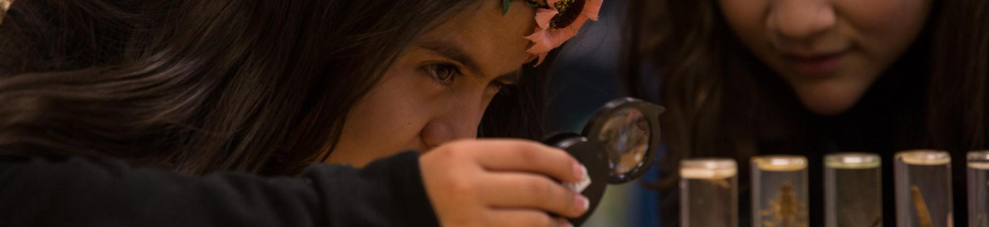 Students examine bioindicators