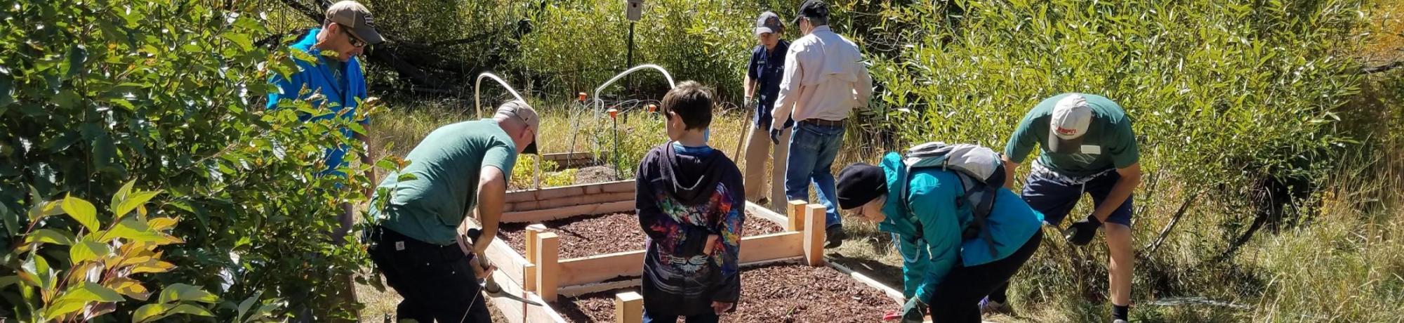Raised bed