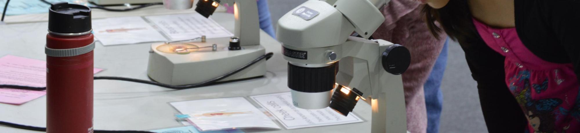 Microscope use at the Science Expo 2018