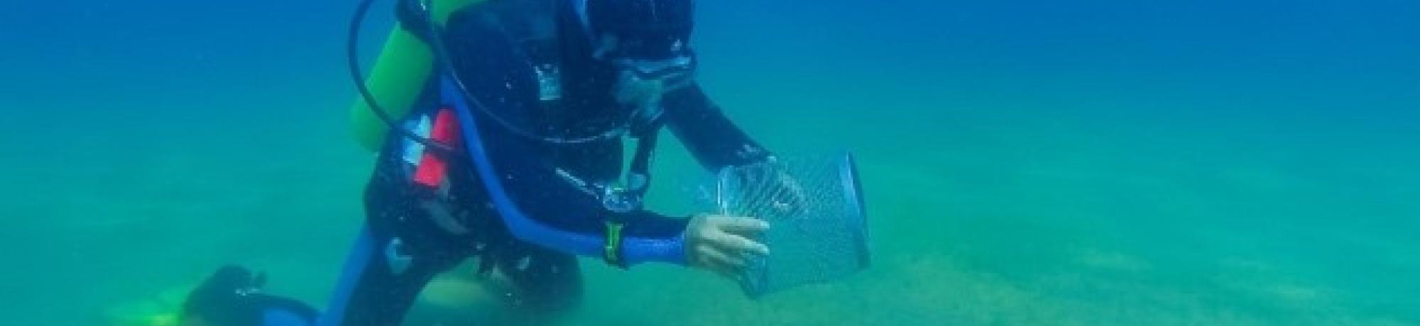 Asian clam surveys at Sand Harbor