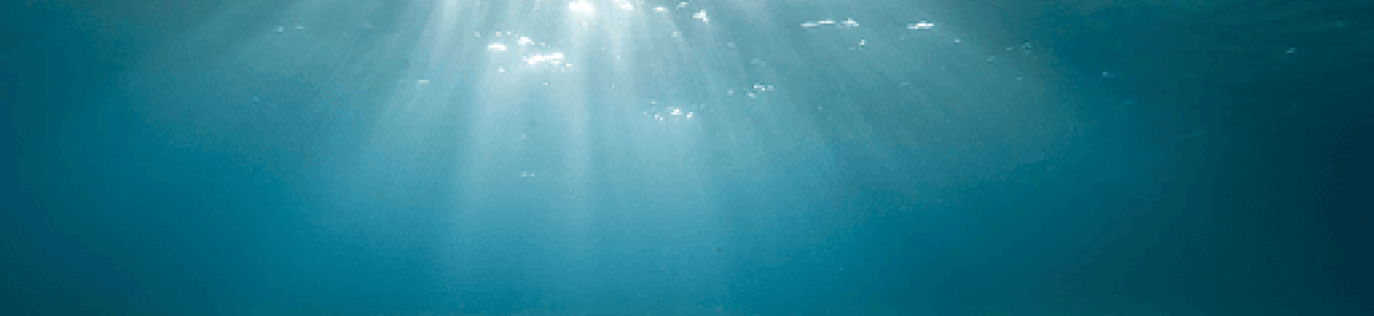 Clear clean water from below looking at the surface