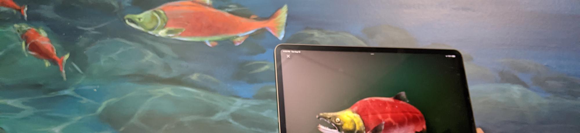 AR example in underwater lounge