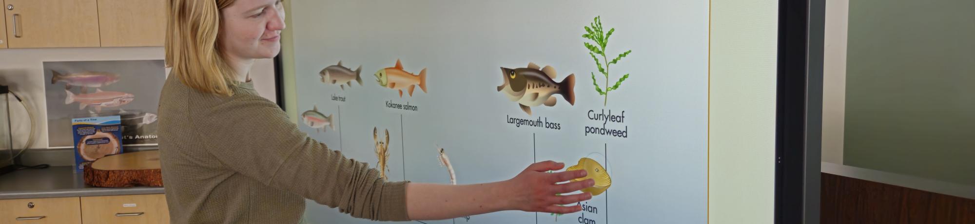 Maggie at the Fish Touchscreen Interactive
